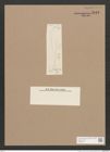 Pleurosigma sp. (de-Toni-Nr.: Genus 13) Zeichnungen Sammlung Grunow Nr. 2143 (NHMW-BOT-W0369187)